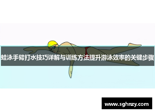 蛙泳手臂打水技巧详解与训练方法提升游泳效率的关键步骤